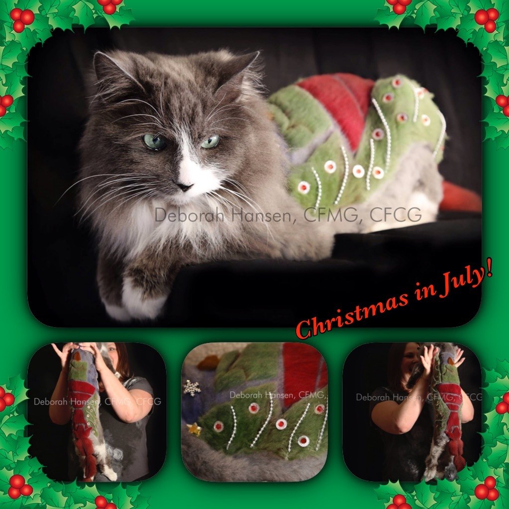 Christmas in July by Deborah Hansen, CFMG, CFCG, creative cat grooming